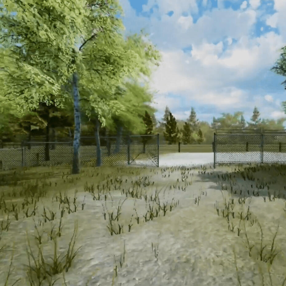 Adding fencing and grass